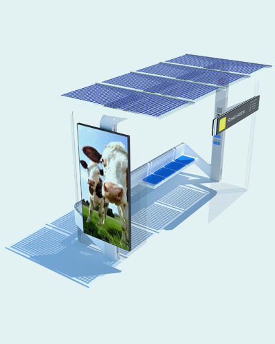 Portfolio Image
